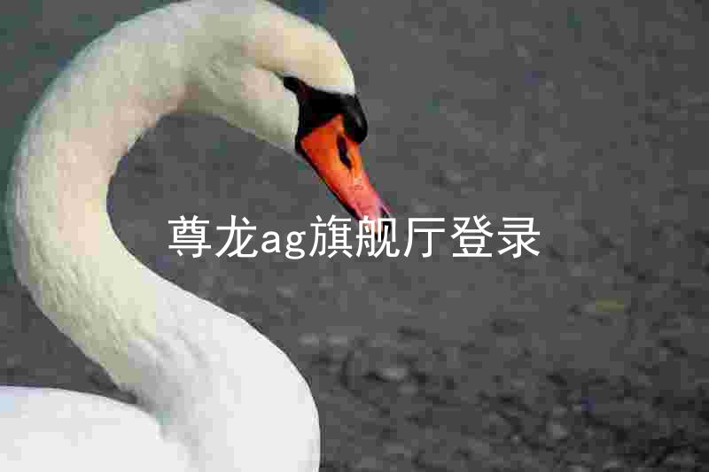 尊龙ag旗舰厅登录